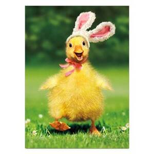 Duckling Bunny Easter Card