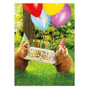 Prairie Party Trifold Birthday Card