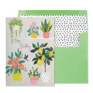 House Plants Birthday Card