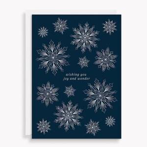 Joy & Wonder Snowflakes Holiday Card Set