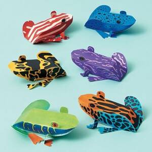 Colorful Frogs Craft Kit