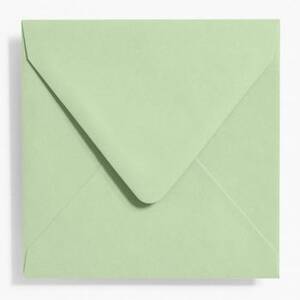 6.5" Square Eucalyptus Envelopes