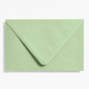 A9 Eucalyptus Envelopes