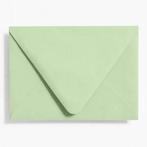 A6 Eucalyptus Envelopes