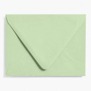 A2 Eucalyptus Envelopes
