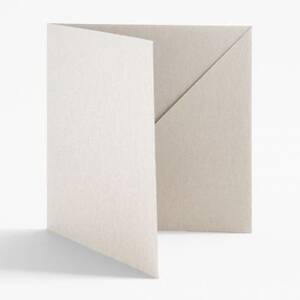 5.5" Square Shimmer Silver Diagonal Folders