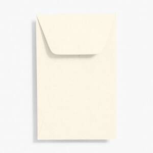 Luxe White Coin Envelopes