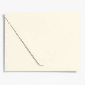 Luxe White Presentation Envelopes