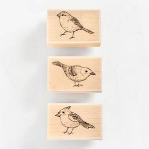 Bird Trio Rubber Stamp Set