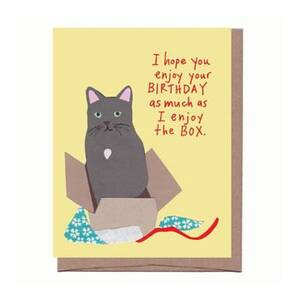 Cat In A Box Birthday Card