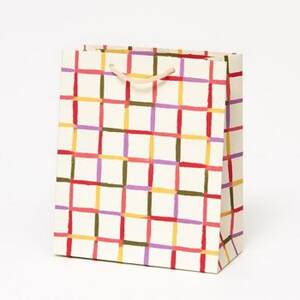 Colorful Grid Medium Gift Bag