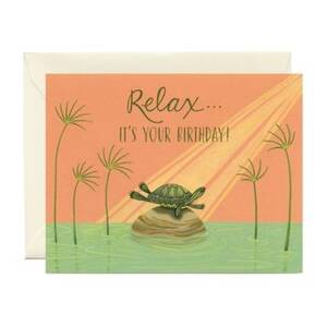 Relaxing Turtle...