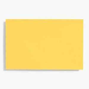 A9 Curry Note Cards