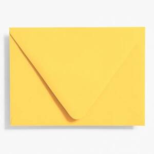A6 Curry Envelopes