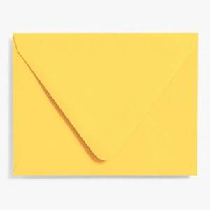 A2 Curry Envelopes