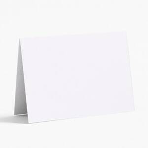 Pure White Place Cards