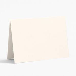 Superfine Soft White Place Cards