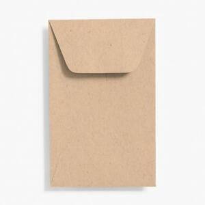 Paper Bag Coin Envelopes