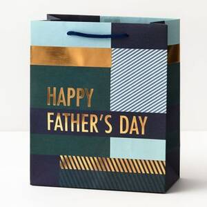 Happy Father's Day Color Block Medium Gift Bag