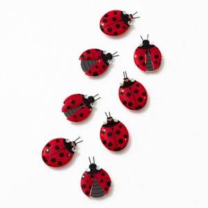 Ladybug Dimensional Stickers