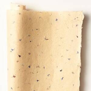 Pressed Blue Petal Handmade Paper