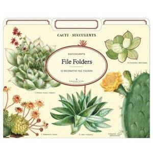 Succulents File Folder