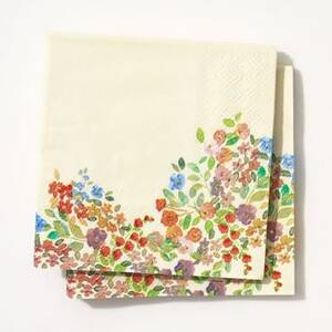 Painted Meadow Cocktail Napkins