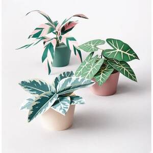Potted Plants Craft Kit