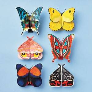 Moth & Butterfly Models Craft Kit