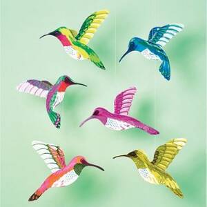 Hummingbirds Craft Kit
