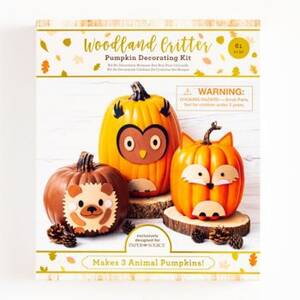 Woodland Critter Pumpkin Decorating Kit