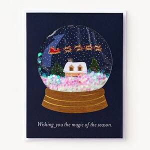 Confetti Snow Globe Holiday Card