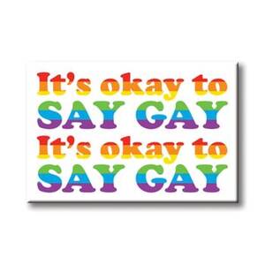 It's Okay To Say Gay Magnet