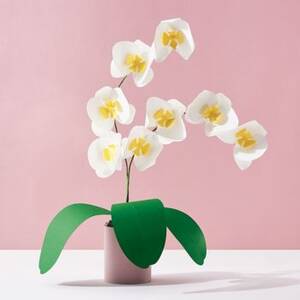 Potted Orchid Paper Kit