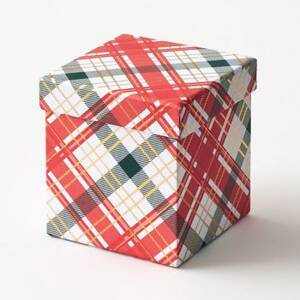 Christmas Tartan Plaid Medium Gift Box