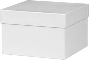 Medium Vanilla Square Box