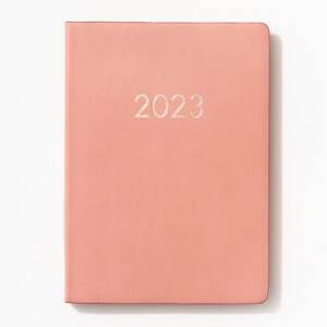2022-2023 Chicago Avenue Dusty Rose Weekly Planner