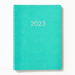 2022-2023 Chicago Avenue Pool Weekly Planner