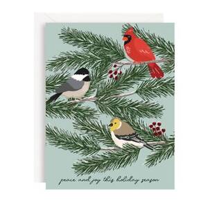 Winter Birds Holiday Card Set