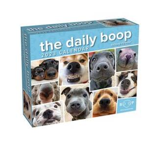 2023 The Daily Boop Day-To-Day Desk Calendar
