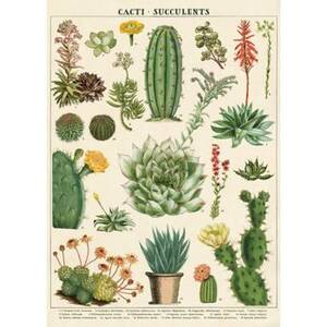 Cacti and Succulent Wrap & Poster