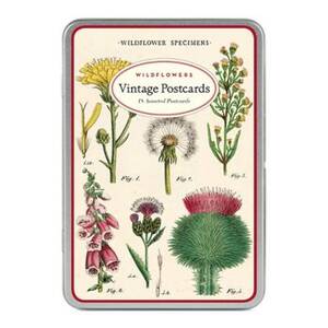 Wildflowers Carte Postale Postcard Set