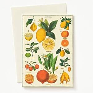 Citrus Greeting Card
