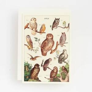 Owl Chart Card