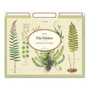 Ferns File Folders