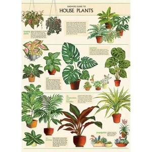 House Plants Wrap & Poster