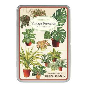 House Plants Vintage Postcard Set