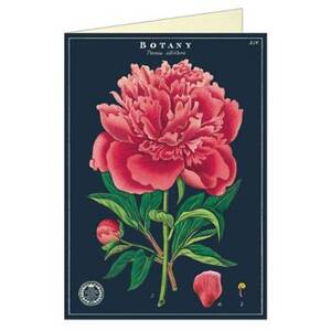 Botany Peony Greeting Card
