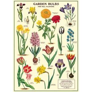 Garden Bulbs Wrap & Poster