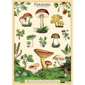 Foraging Wrap & Poster